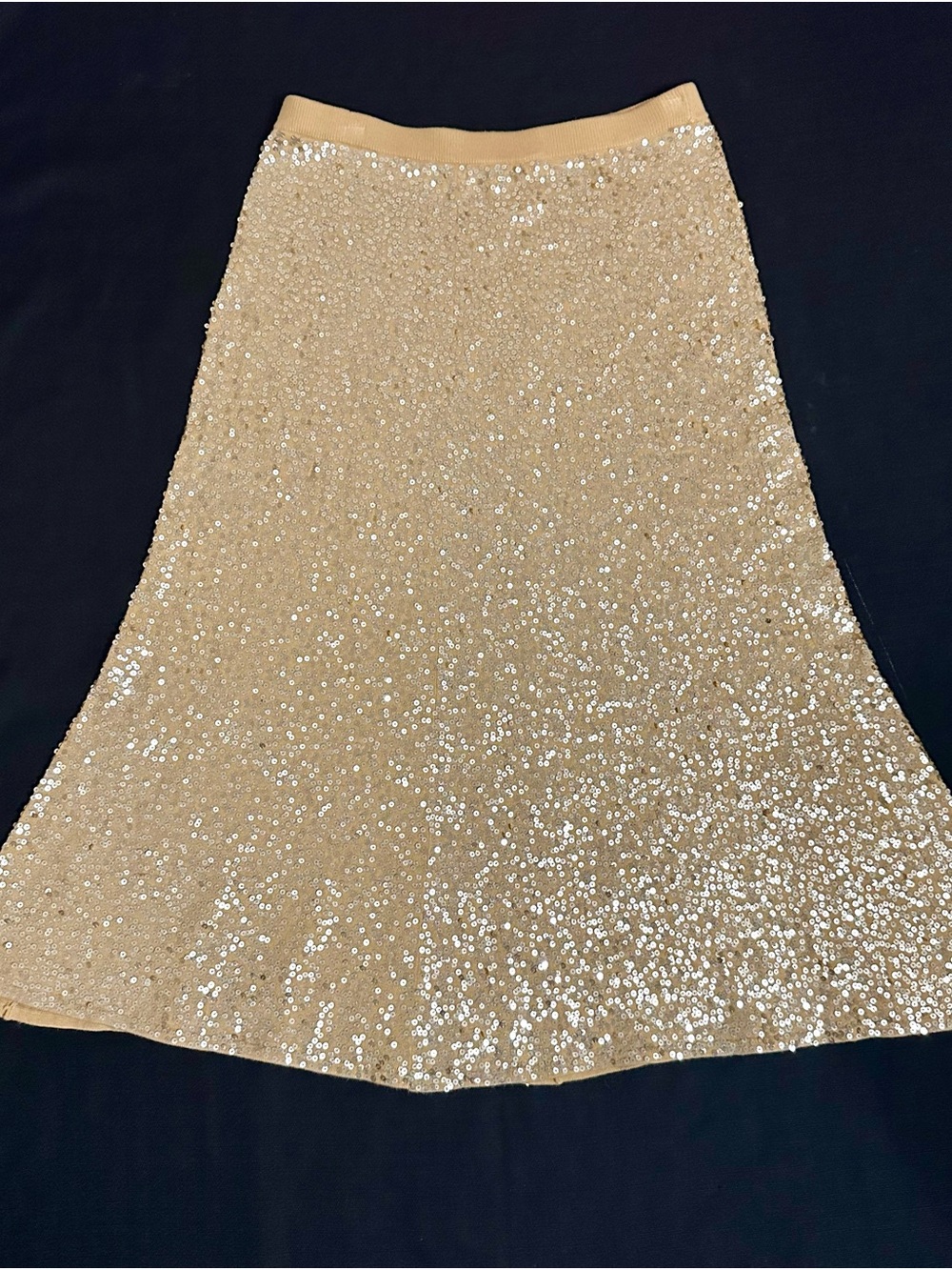 Spiegel Champagne Sequin A-Line Skirt